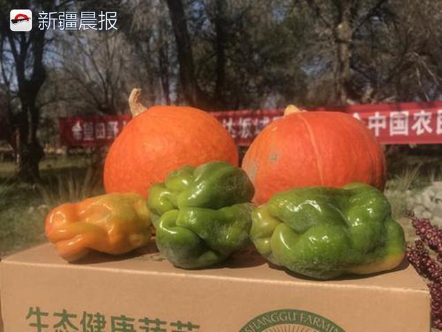 乌鲁木齐市达坂城区庆祝首个中国农民丰收节