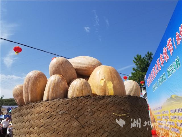 都说城里人会玩,其实咱湖北的农民朋友更会玩