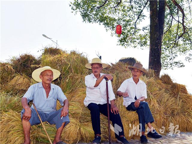 都说城里人会玩,其实咱湖北的农民朋友更会玩