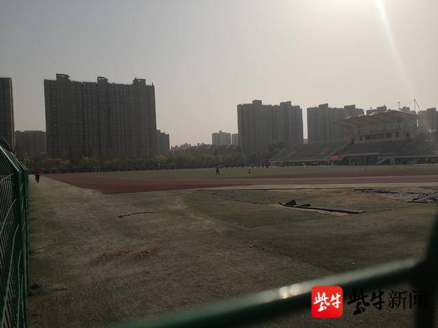 苹果手机怎么下载发条娱乐,“枫”在加拿大,我就是秋天的追“枫”者