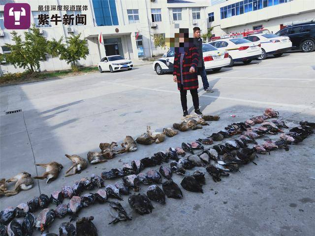 果博网址,他们,甘当永远不会被记住的第二名