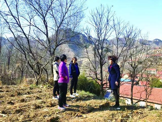 ▲ 女博士团队成员在山东省淄博博山泉子村考察,探讨如何帮助村庄发展产业。