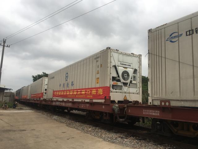 395.7吨物资出发荆州!海南首趟冷藏集装箱