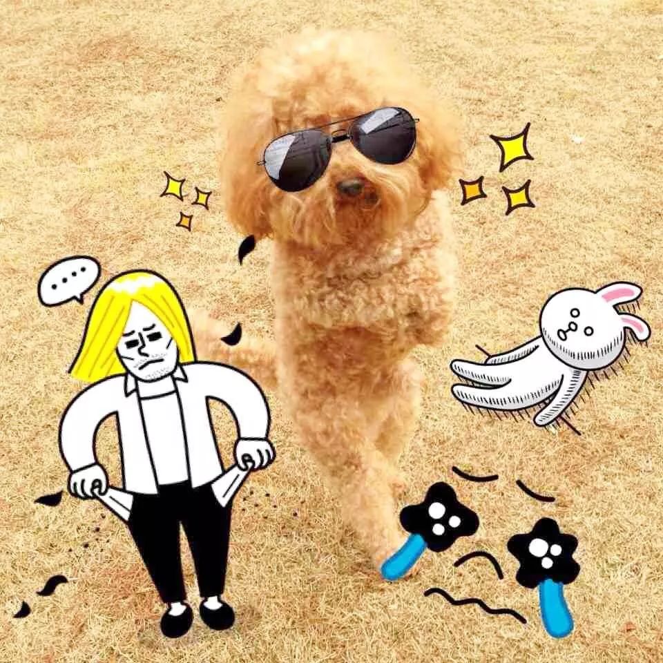Mr.Lu