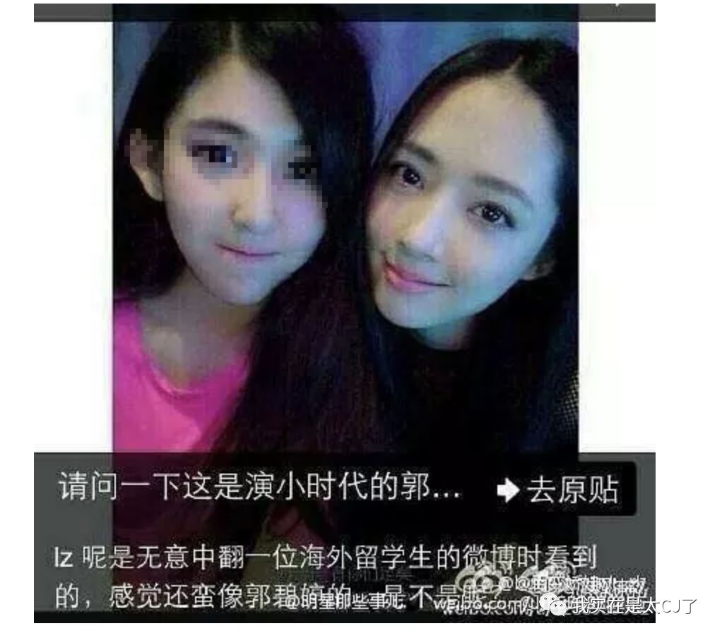 郭碧婷向佐恋爱了?搭吗?