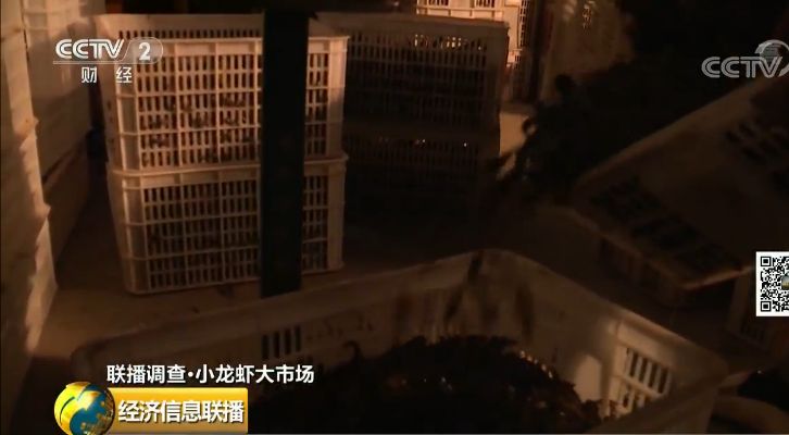 重生之都市修仙TXT下载截图1