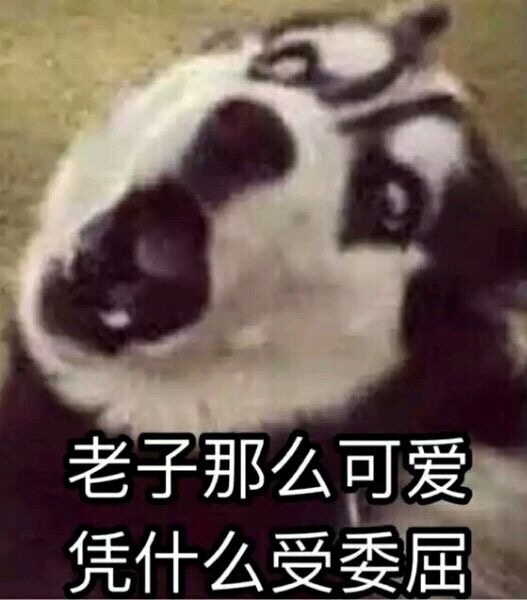 Steam�������Σ����ŷ���󳧼���ȫ�����ӣ�������������ҲҪ��·��