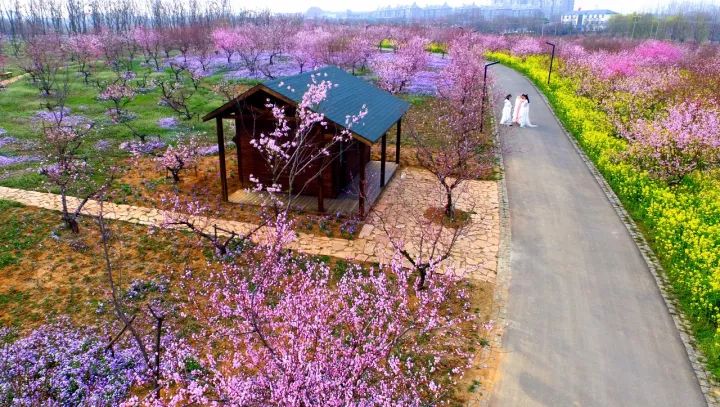 心“宿”春天,情“迁”一周的春色惊喜~