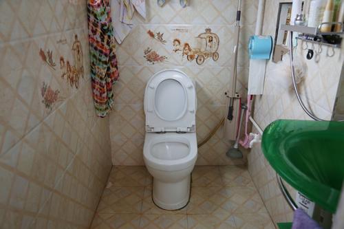 广东农村100个户厕中,就有93个是无害化卫生