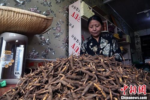 中国 冬虫夏草第一县 迎来2018年首个交易日|冬