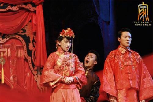 音乐剧电影《家》海报