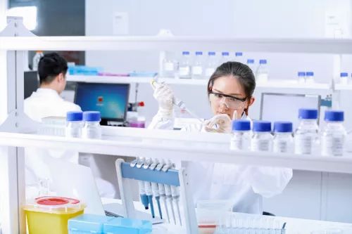 技术创新 荣耀四川 | 迈克生物:多变环境中的不