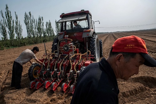 美媒称中国农村正发生巨变：从家庭农户到大型农场