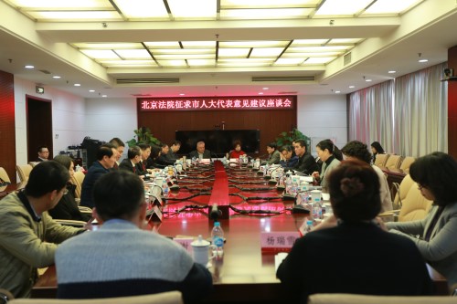 北京法院征求市人大代表意见建议座谈会在东城