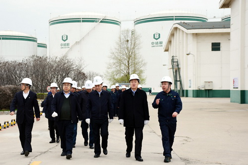 导巡查黑龙江辽宁两省政策性粮食库存大清查工