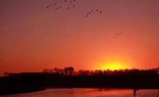 猛料!涉及整村搬迁,未来通州个镇将再度重现昔