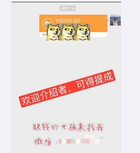 图为微博上的捐卵中介，以“缺钱的女孩来找我”吸引目标，介绍女孩捐卵也能拿提成。