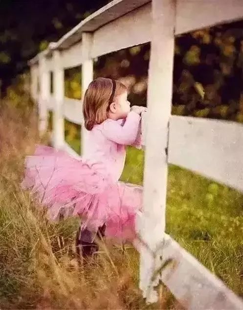 几个月会趴坐 DzNH-fztkpin0911535.jpg