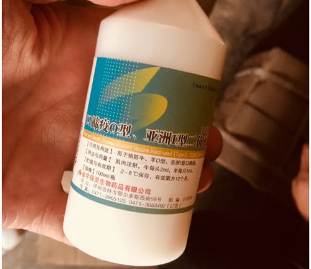 博彩白菜讯息 公司副总经理挪公款1300万获刑 贪念源自一个U盾