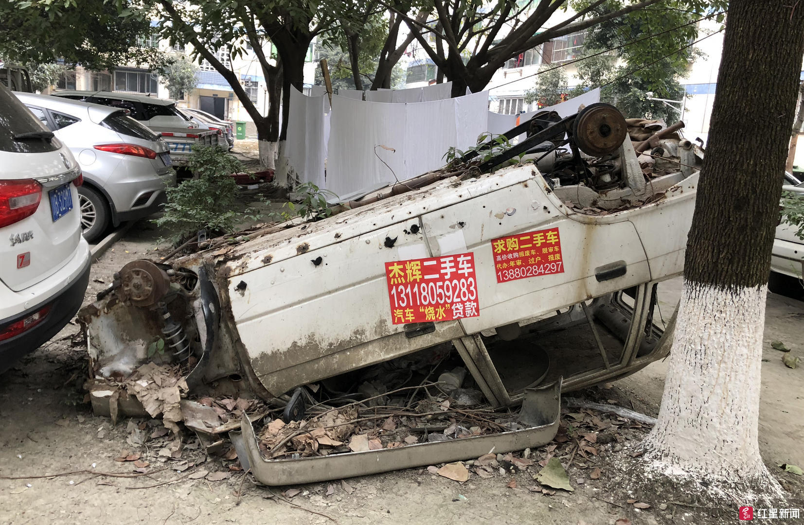 成都一小区停着几十辆僵尸车  住户看着很闹心物管处理很棘手