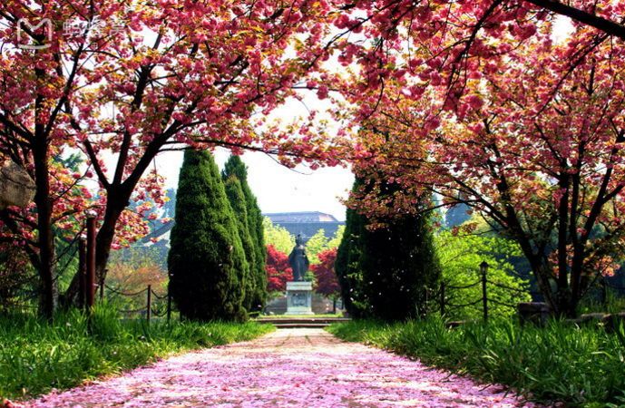 广西贵州100个景点免费或半价！广东人拿身份证就能享受！