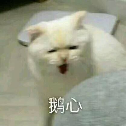 點擊查看大圖