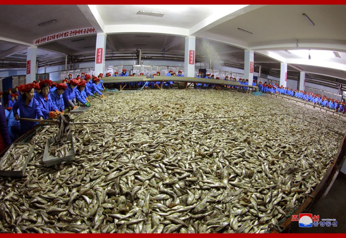 聚财彩票网注册登陆 - 准妈妈,孕期饮食您get到了吗?