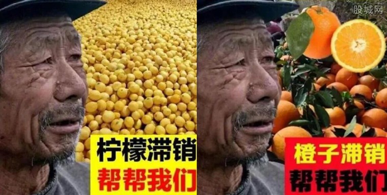 这位大爷为何卖啥都滞销? 这个真相让人意想不到