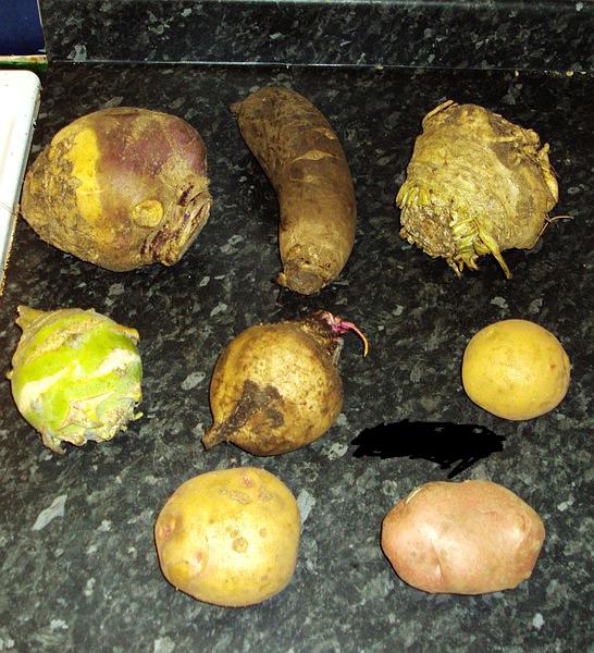 世界主食人口_主食简笔画