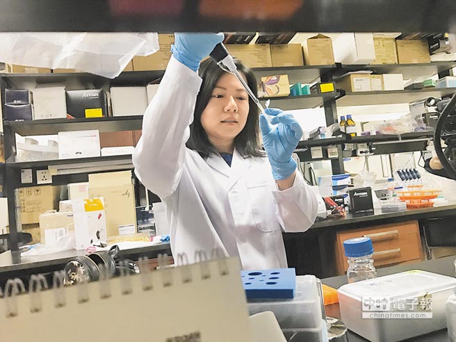 台湾青年科学家在北大做研究(图片来源:“中时电子报”)