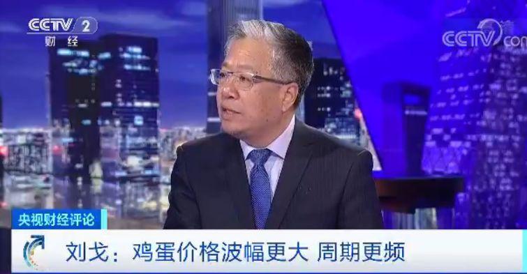 大喜娱乐网址_广东茂名湛江两地进入临战状态 备战“双台风”