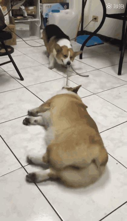 高考就这么结束了 突然想念起那个经常责骂我们的老师 她还是很可爱的呀。