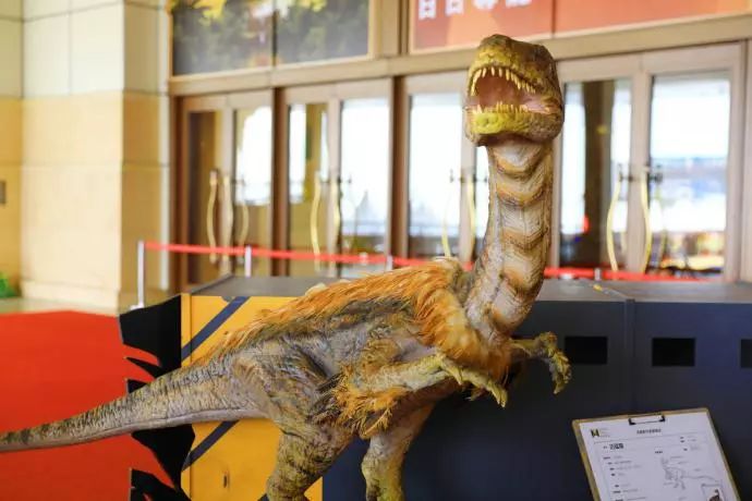 想要重返亿万年前的史前时代,快去澳门新濠影