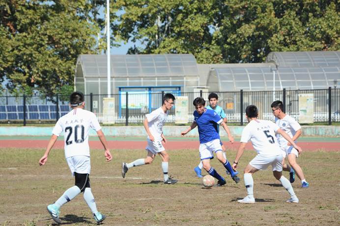 【记者调查】今天，你动起来了吗？