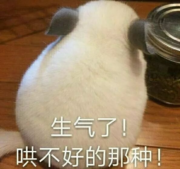 IPO 后首份财报公布,蔚来交出了怎样的成绩单?