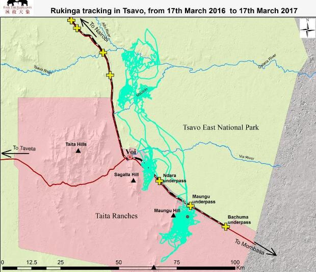 外媒又开始抹黑内马铁路,不怕打脸?