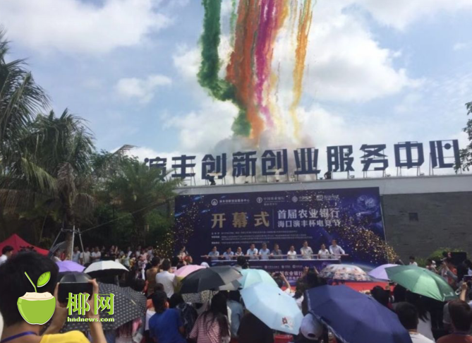 椰网|电竞|农业银行|电子竞技