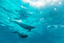 两部门发文明确:图书批发、零售环节增值税延