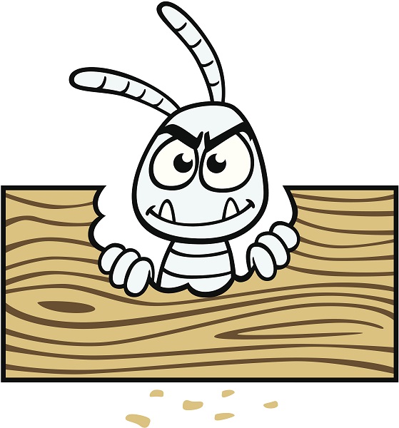 市民发现白蚁莫惊慌 可第一时间拨打物业服务热线