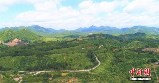 资料图:江西省寻乌县素有“稀土王国”美誉。苏路程 摄