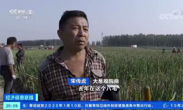 mg娱乐吧·神秘工厂内堆满4万斤烟草!几毛钱收购十块钱卖出