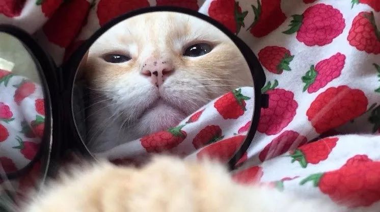 怎样让你的第二层皮肤做点有意义的事?