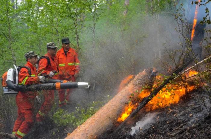 扑火前线杜鹃花依然绽放