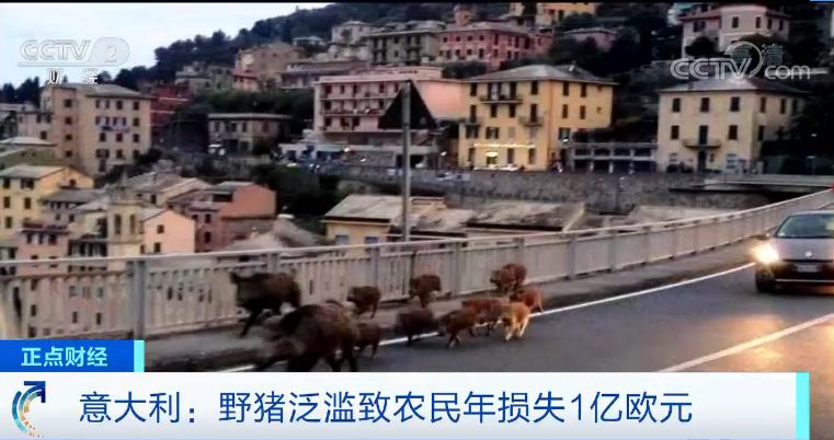 中国时代赌城 欧莱雅“吹牛”被罚了200000元