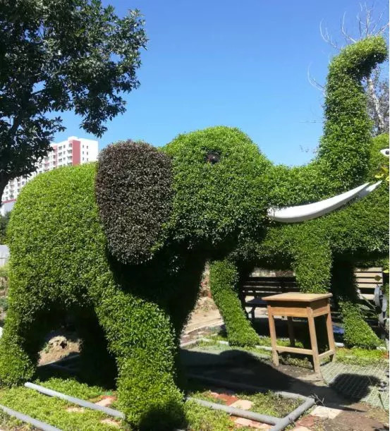 喜迎第十届中国沧州国际武术节和“双节”到来，17组五色草造型即将亮相狮城