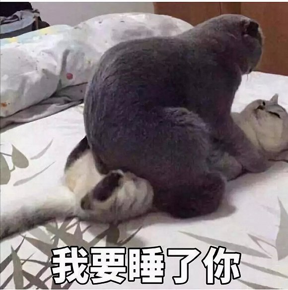 一看他发的表情,就知道是个高级渣男我病了表情包图片