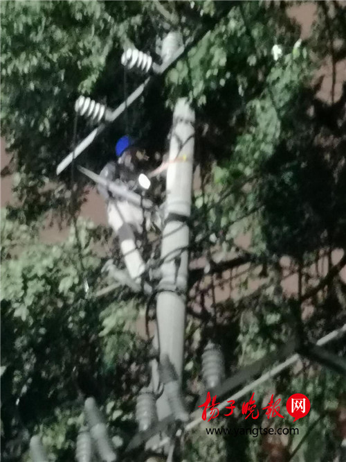 受大风影响 盐城响水19户人家电线出故障 供电