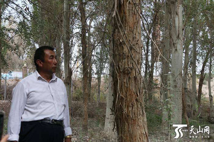 [最美林业故事]这里的每棵树都跟我的孩子一样