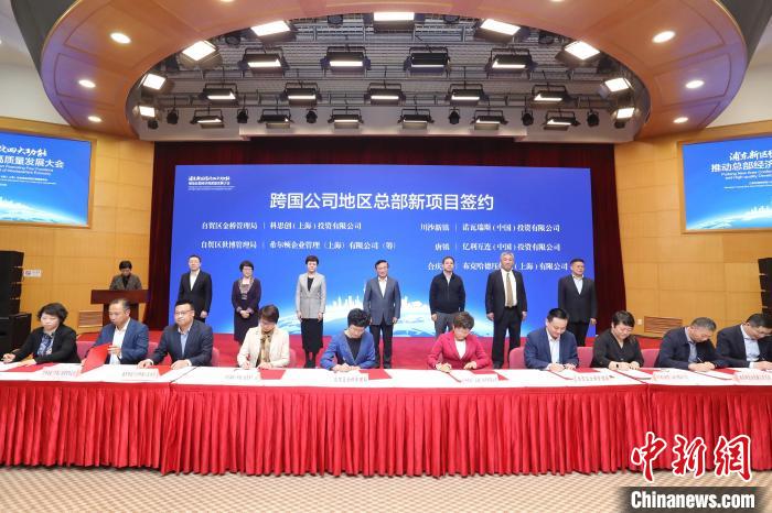 跨国经济总量_经济(2)