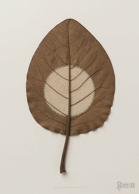 ¹Susanna BauerҶƾƷ Ѳμչ